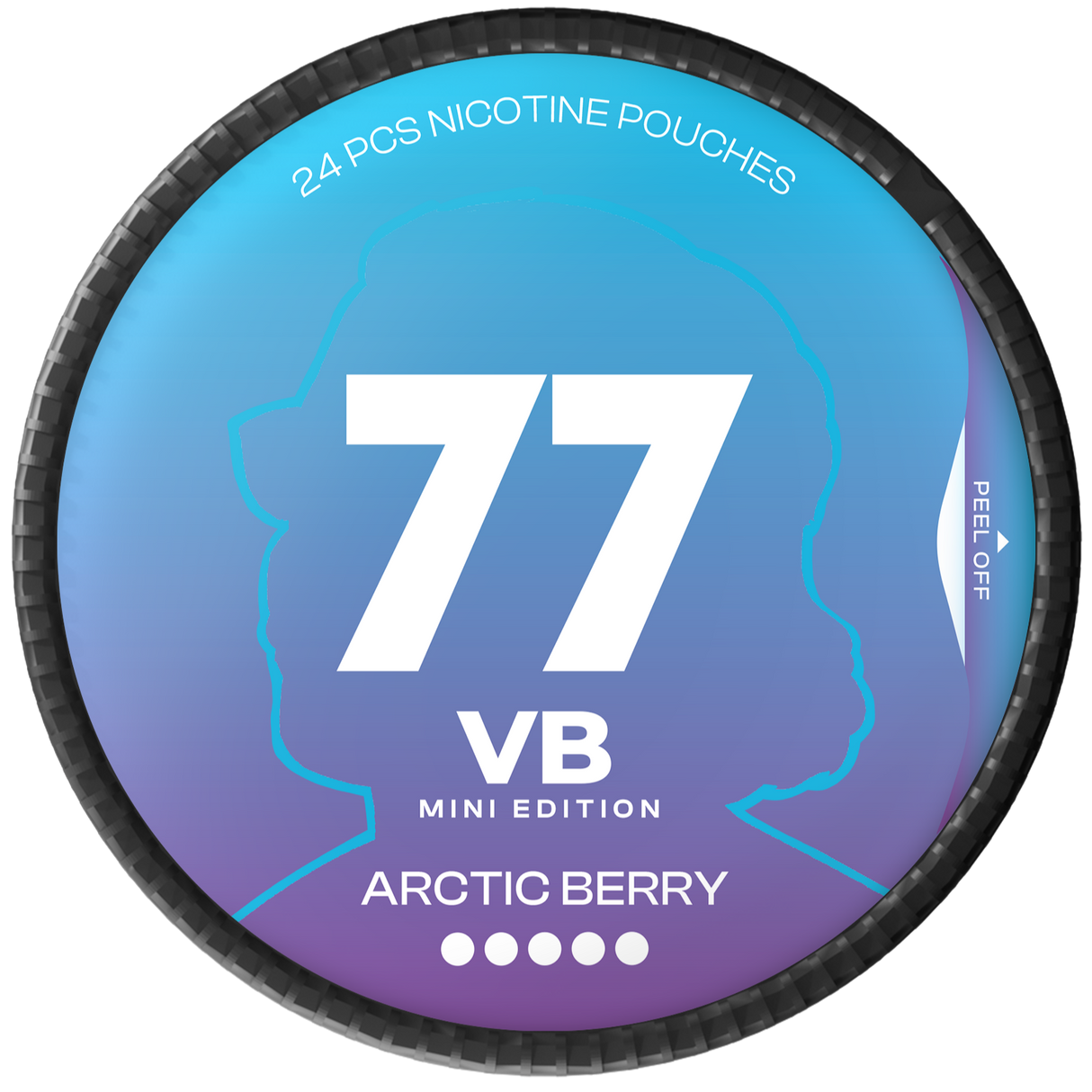 77 Ghost VB Arctic Berry Mini-Nikotinposer-Tobax