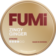 FUMI Zingy Ginger Strong – Tobax