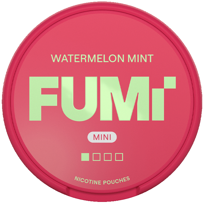 FUMi Freezy Mini Watermelon Mint