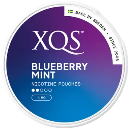 XQS Blueberry Mint Light-Nikotinposer-Tobax