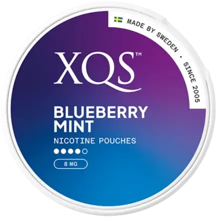 XQS Blueberry Mint Strong-Nikotinposer-Tobax