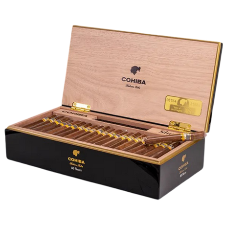 Cohiba Short Year Of The Dragon 88p Inklusive Humidor-Cigarr-Tobax