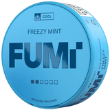 Fumi Freezy Mint Regular