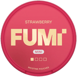 FUMI Mini Strawberry 