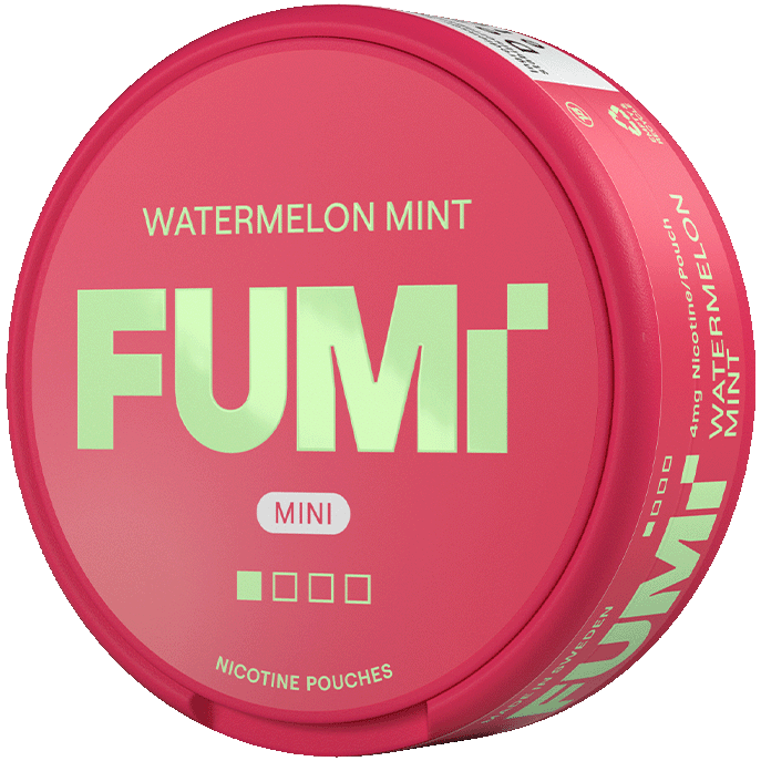 FUMi Freezy Mini Watermelon Mint