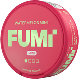 FUMi Freezy Mini Watermelon Mint