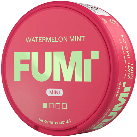 FUMi Freezy Mini Watermelon Mint