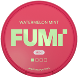FUMi Freezy Mini Watermelon Mint