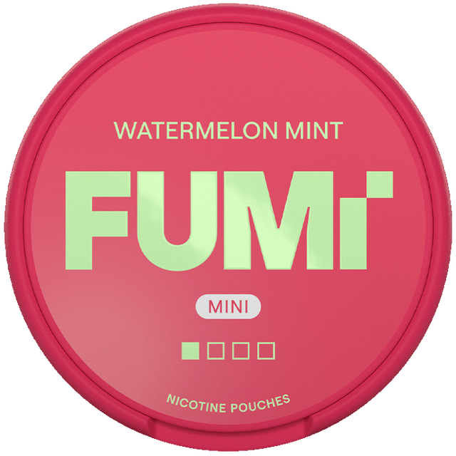 FUMi Freezy Mini Watermelon Mint