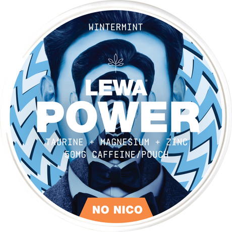 Lewa Power Wintermint-Nikotinfritt Snus-Tobax