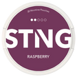 STNG Raspberry
