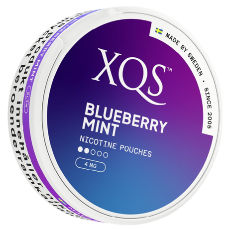 XQS Blueberry Mint Light-Nikotinposer-Tobax