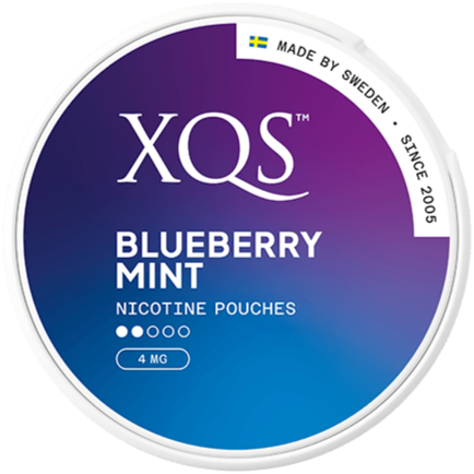 XQS Blueberry Mint Light-Nikotinposer-Tobax