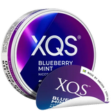 XQS Blueberry Mint Ny