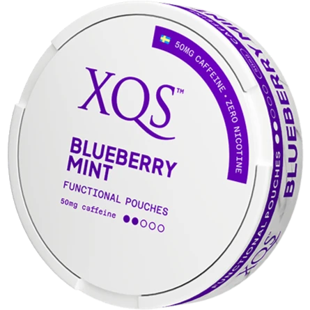 XQS Blueberry Mint Nikotinfri