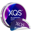 XQS Blueberry Mint Ny