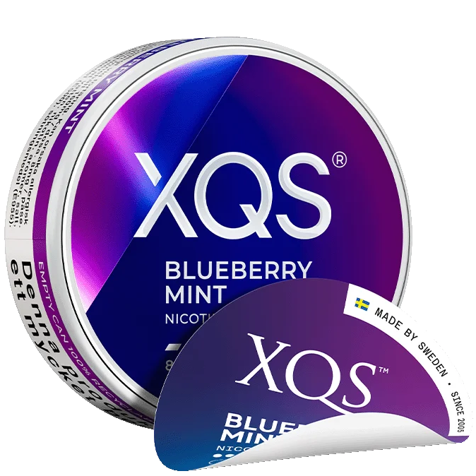 XQS Blueberry Mint Ny