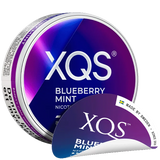 XQS Blueberry Mint Ny