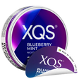 XQS Blueberry Mint Stark Ny