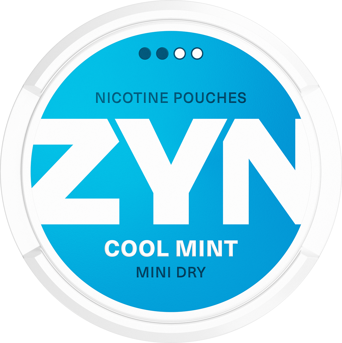 ZYN Cool Mint Mini Dry S2